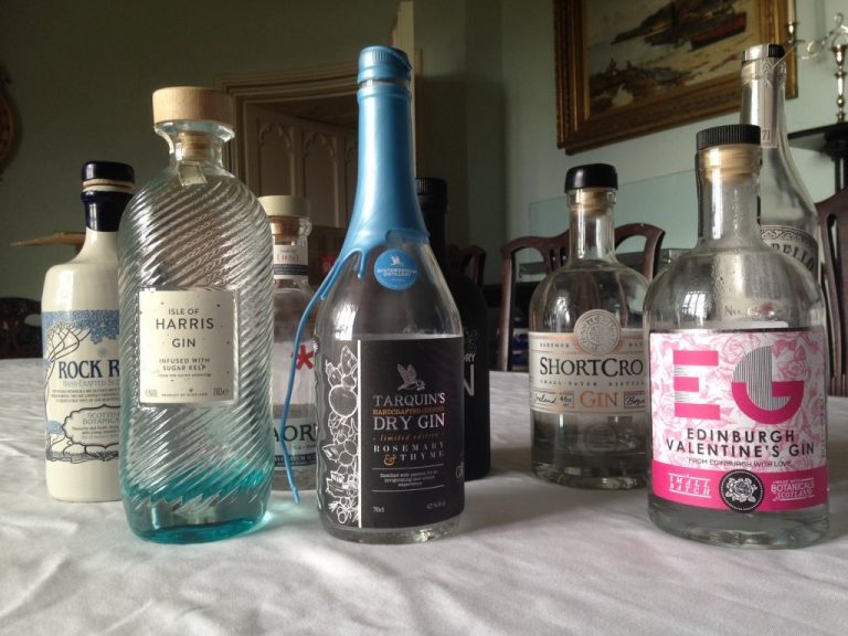 Craft gin bottles