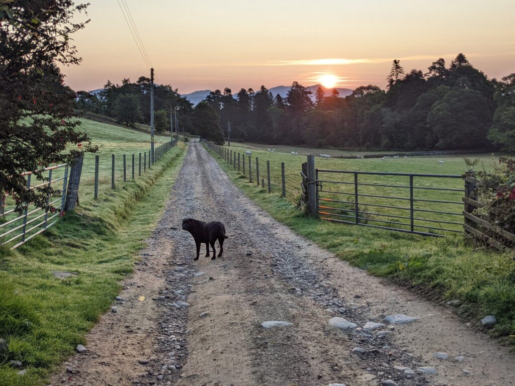 Crumble at Sunrise