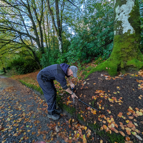 Visitors From Near and Far